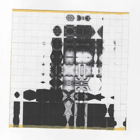 Photo 2026-01-15-bobdylan-mosaic