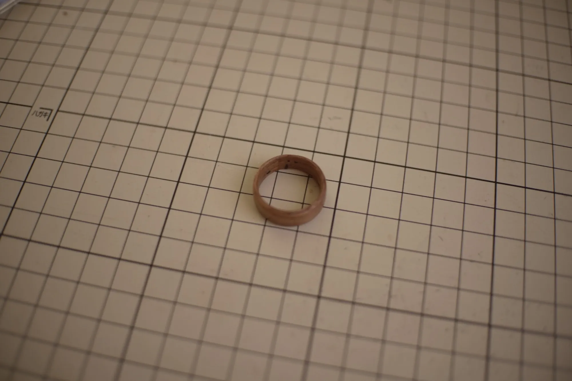 Photo 2026-03-28-ring