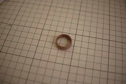 Photo 2026-03-28-ring